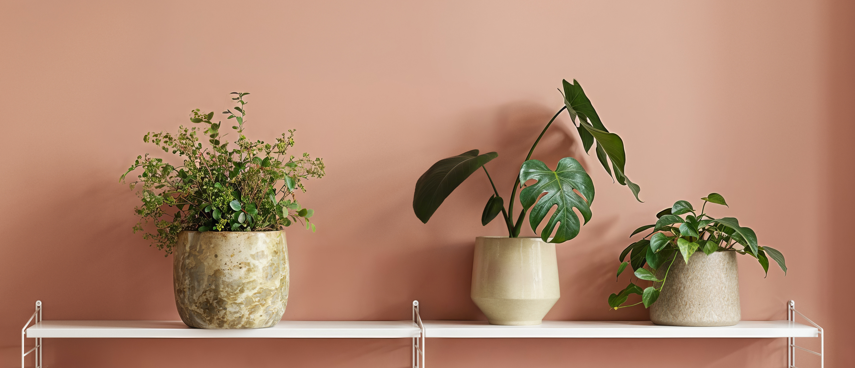Handmade Ceramics