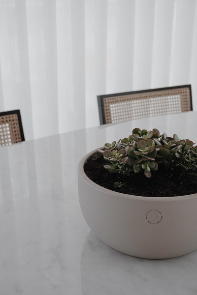 Feng Shui